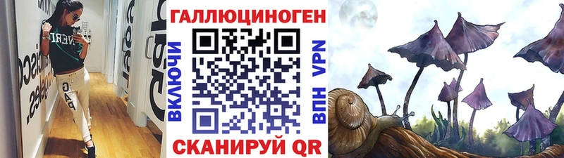Псилоцибиновые грибы GOLDEN TEACHER Ангарск